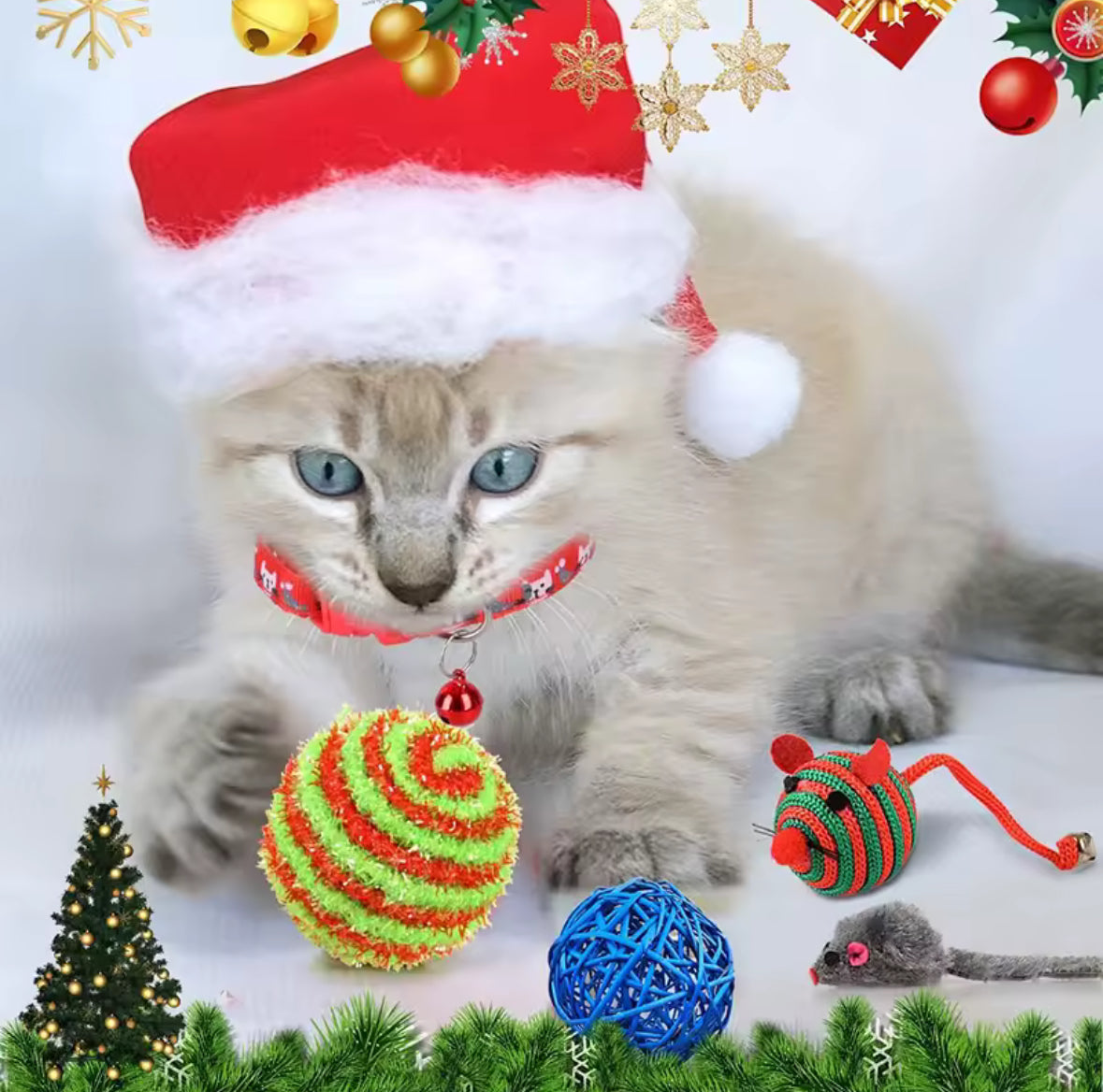 Adventskalender für Katzen