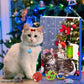 Adventskalender für Katzen