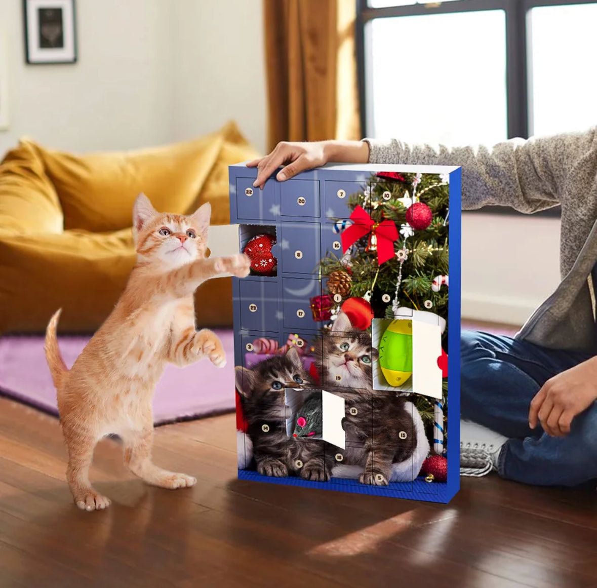 Adventskalender für Katzen