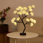 Rosen Baum LED Lampe