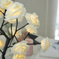 Rosen Baum LED Lampe